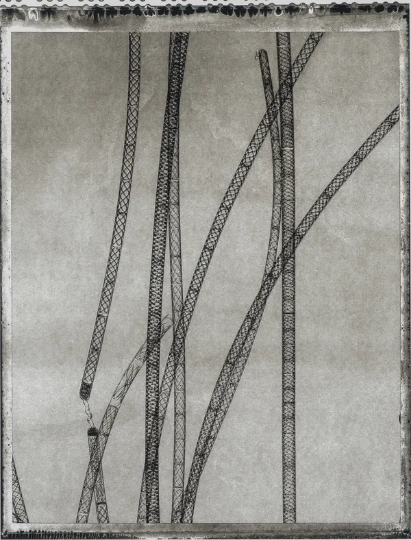 Jan C. Schlegel, Plate #23, 2024