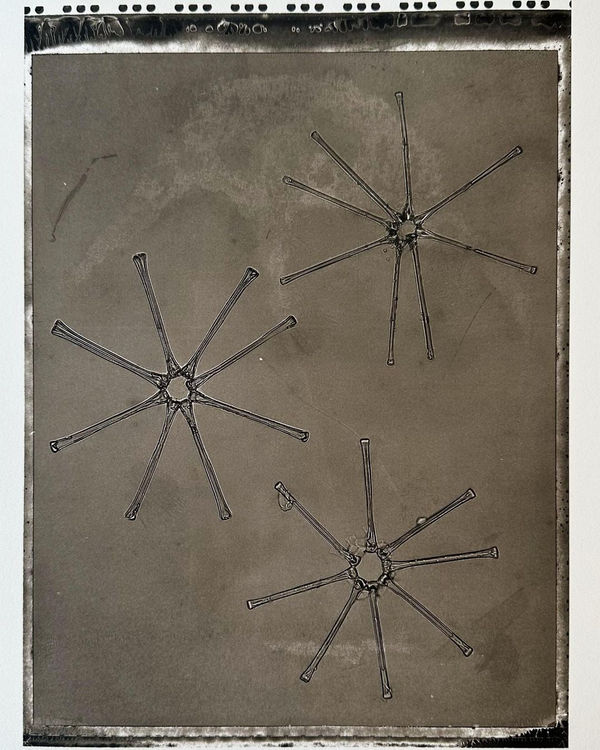 Jan C. Schlegel Plate #45, 2024