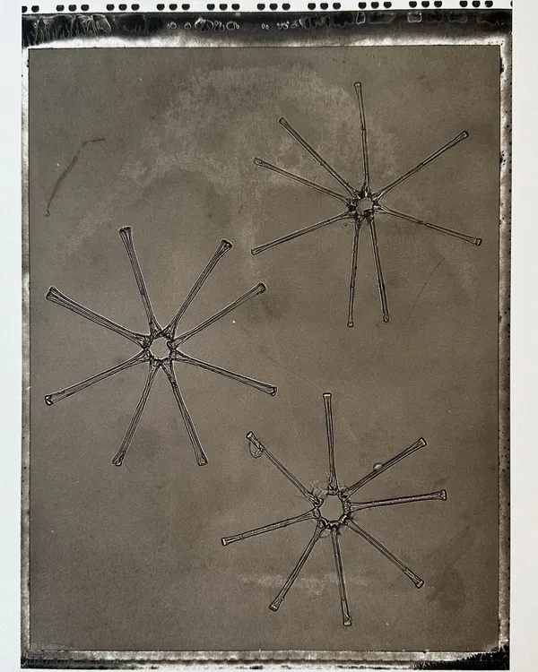 Jan C. Schlegel, Plate #50, 2024