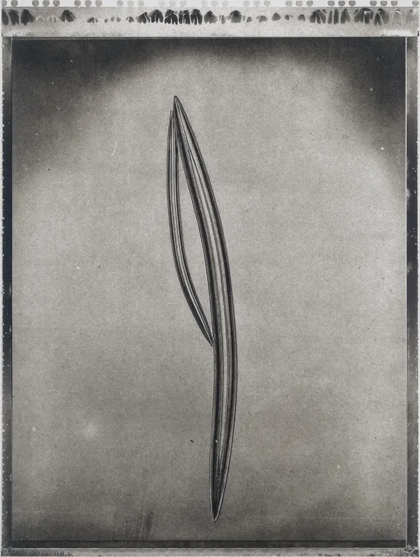 Jan C. Schlegel, Plate #27, 2024