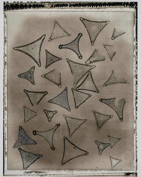 Jan C. Schlegel Plate #33, Mediterranean Sea, 2024