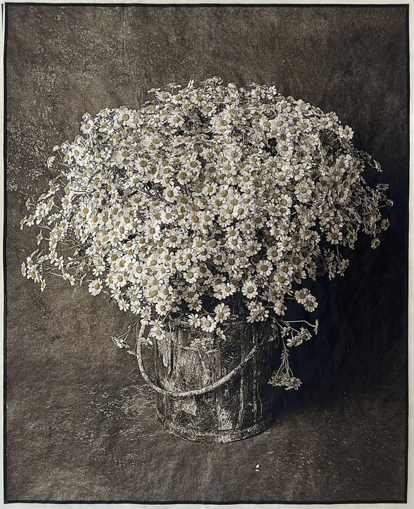 Jan C. Schlegel Chamomile, 2023