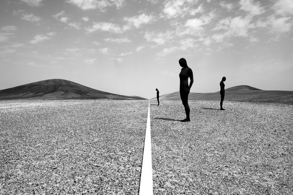 Astrid Verhoef, Human Nature 10 , 2021