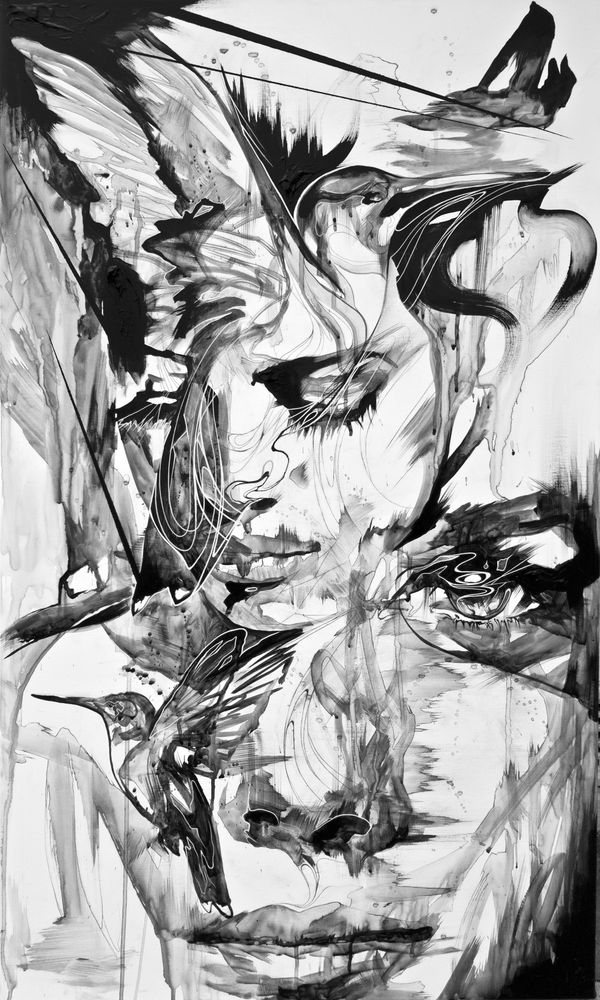 Danny O'Connor, Summerbirds have serenity in their song