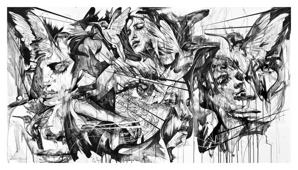 Danny O'Connor, PRINT - The Beautiful Chaos of the Summer Birds Song