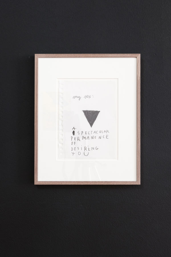 Anne-lise Coste, My sex, 2013