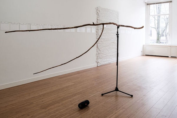 Suchan Kinoshita, Stick Empathy, 2019