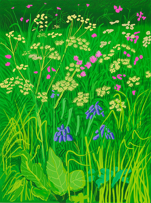 David Hockney, 17 May From 'The Arrival of Spring in Woldgate, East Yorkshire, 2011