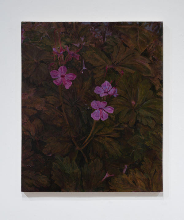 Derek Franklin Johnson Creek Flood Plain #5, 2026 oil on canvas 36 x 30"