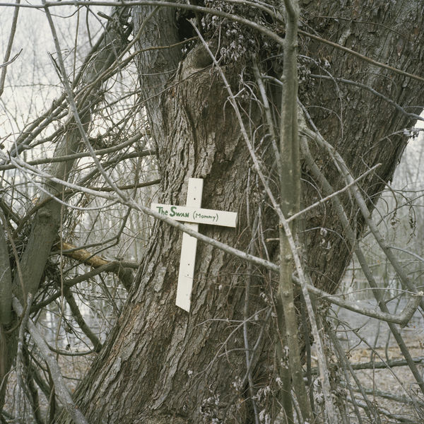 Robert Lyons Untitled, 2015/2016 archival pigment print 24 x 24"