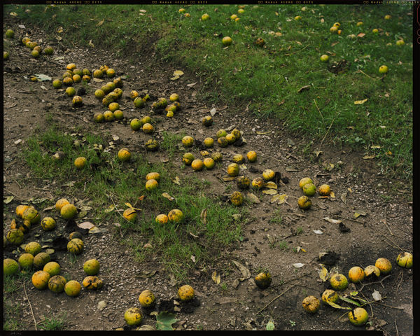 Robert Lyons Untitled, 2015/2016 archival pigment print 28 x 35"