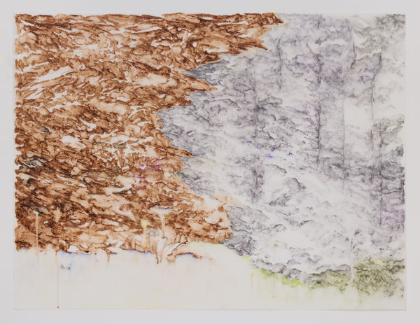 Christine Bourdette Sway, 2025 water crayon and water pencil on translucent DuraLar 25 x 33" 29.5 x 37.5" framed