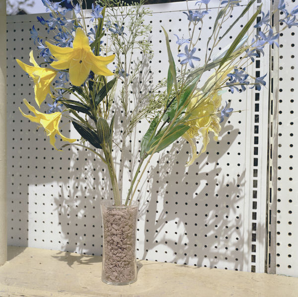 Robert Lyons Untitled, 2015/2016 archival pigment print 24 x 24"