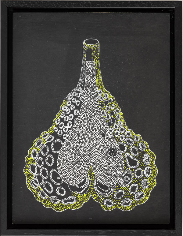 Deborah Horrell, Untitled (lungs), 2017-18