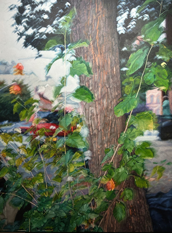 Daniel Albrigo, Tree, 2026