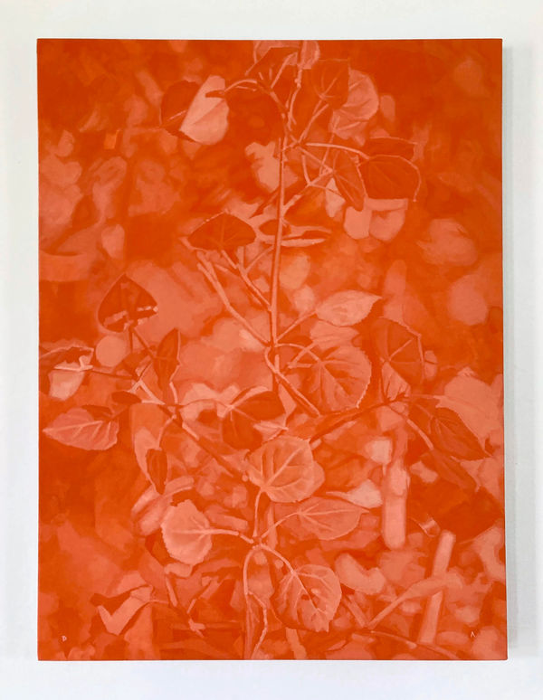 Daniel Albrigo, Untitled (Aspens), 2022