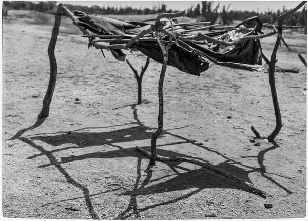 Beatriz Grau, Moverse con el viento II, 2025