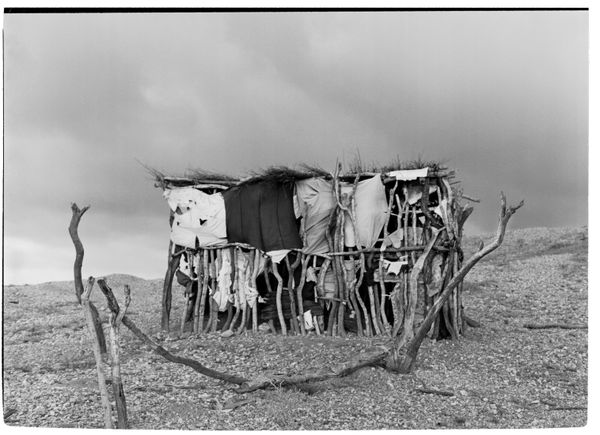 Beatriz Grau, Moverse con el viento VI, 2025