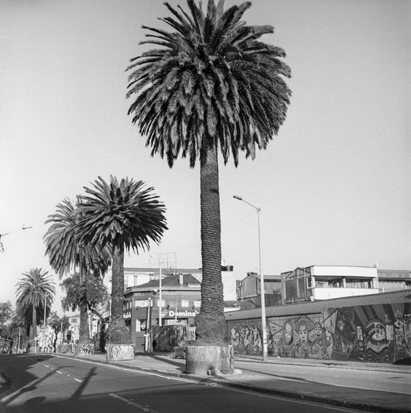 Beatriz Grau, La Caracas XI, 2023