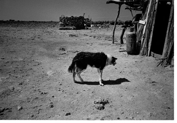 Beatriz Grau, Moverse con el viento X, 2025