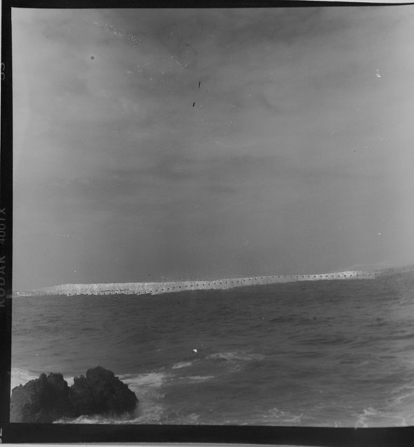 Beatriz Grau, 33ma III, 2018