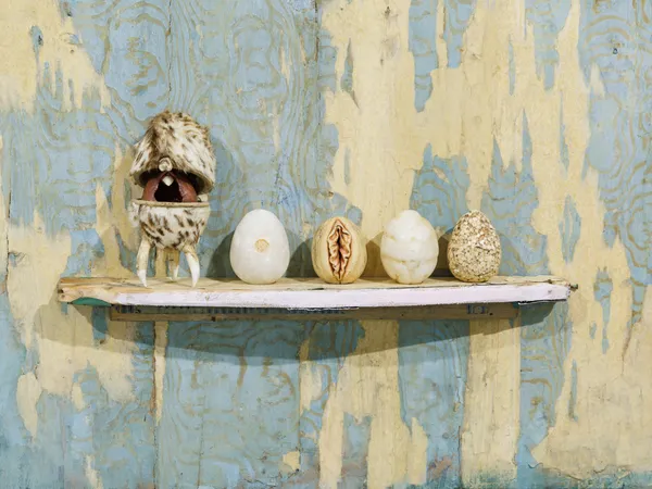 GHITA REMY, Arca Ovium, 2026