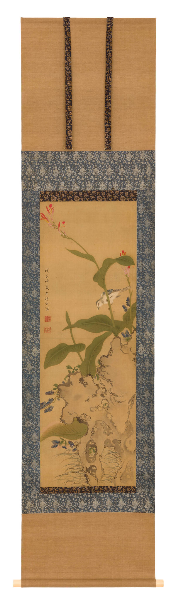 Bird and Canna Indica