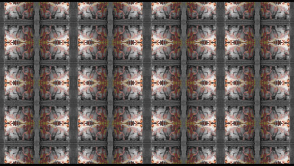 吳長蓉 WU Chang Jung, 紀錄片II-家興 Documentary II-Jia Hsin, 2009