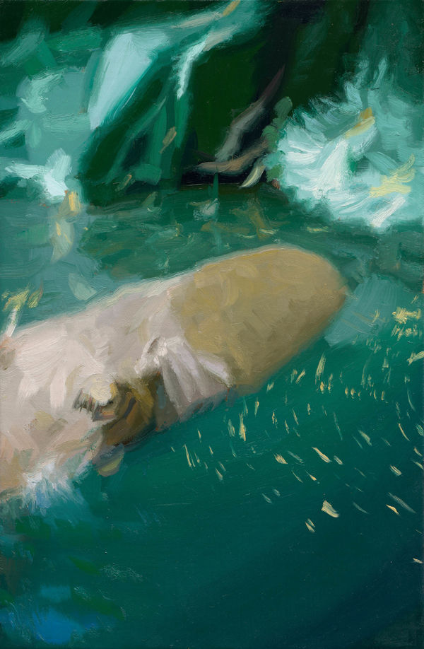 林彥瑋 LIN Yen Wei 河馬 Hippopotamus, 2023 油彩／畫布 Oil on canvas 15 3/4 x 10 3/8 in 40 x 26.3 cm