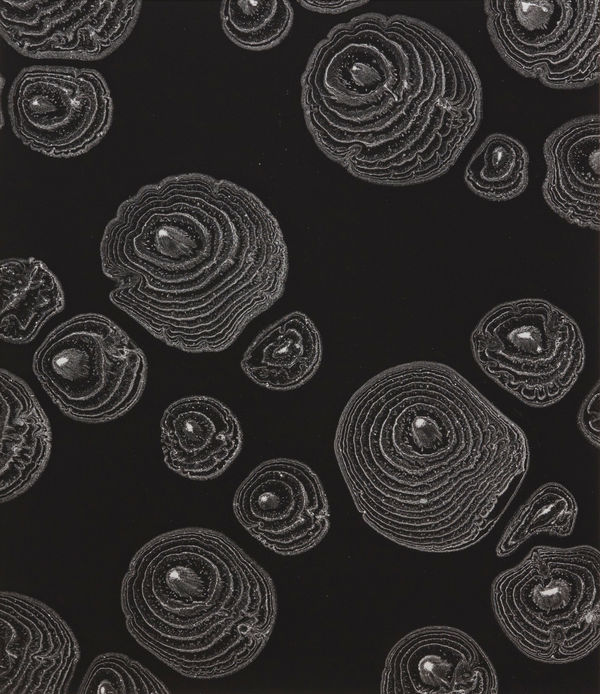 能條雅由 Masayoshi NOJO, 連結 #7 Link #7, 2022