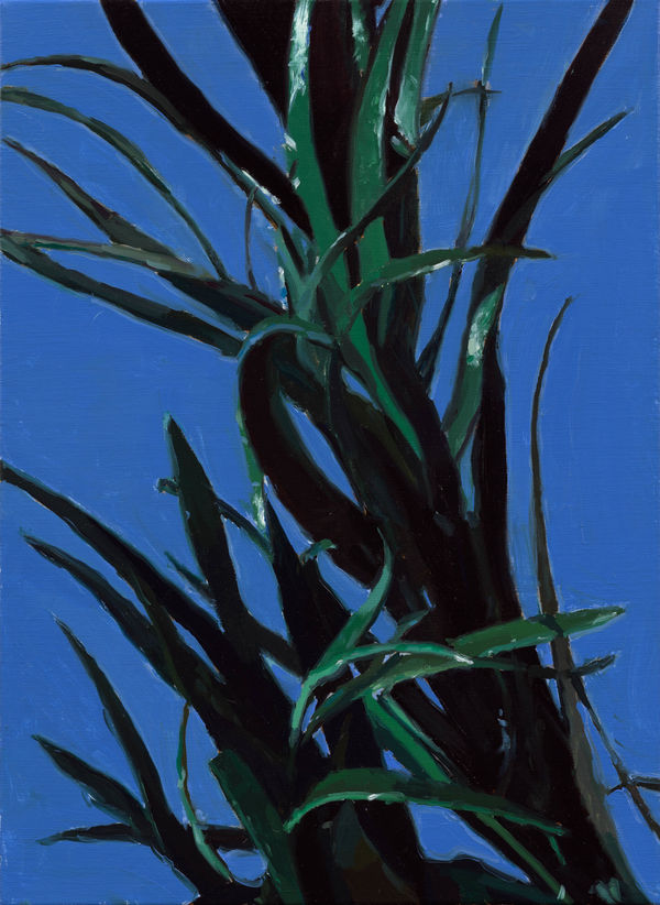 林彥瑋 LIN Yen Wei 楊柳枝 Willow Branch, 2022 油彩／畫布 Oil on canvas 22 1/2 x 16 1/2 in 57.2 x 42 cm