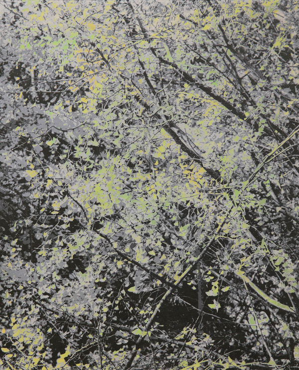 能條雅由 Masayoshi NOJO, 無題 Untitled, 2021