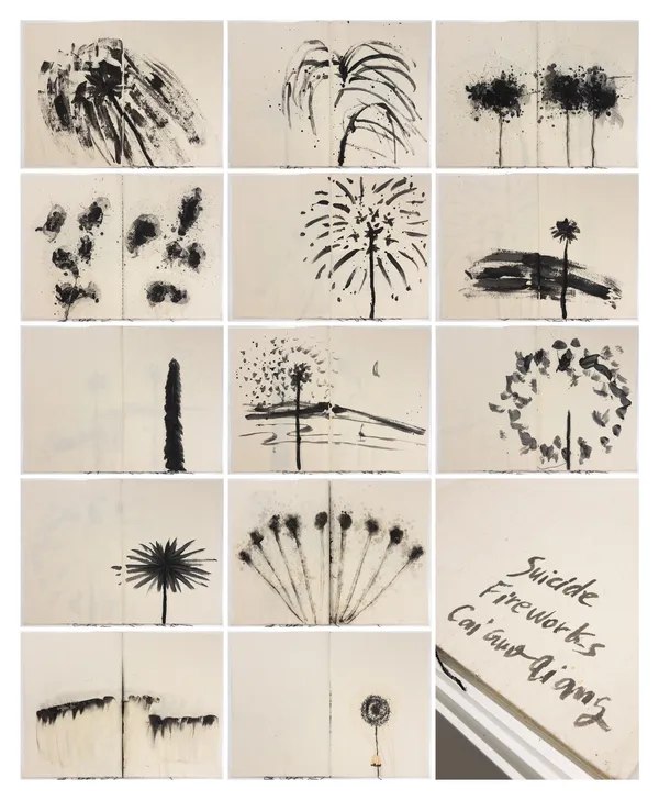蔡國強 CAI Guo-Qiang, 危險書 Danger Book: Suicide Fireworks, 2007