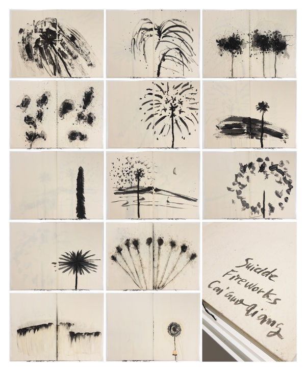 蔡國強 CAI Guo-Qiang, 危險書 Danger Book: Suicide Fireworks, 2007
