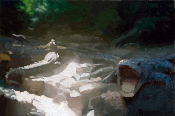 林彥瑋 LIN Yen Wei 鱷魚 Crocodile, 2023 油彩／畫布 Oil on canvas 10 3/8 x 15 3/4 in 26.3 x 40 cm