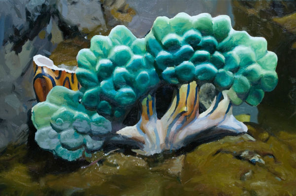 林彥瑋 LIN Yen Wei 松 #2Pine #2, 2022 油彩／畫布 Oil on canvas 15 3/4 x 23 5/8 in 40 x 60 cm