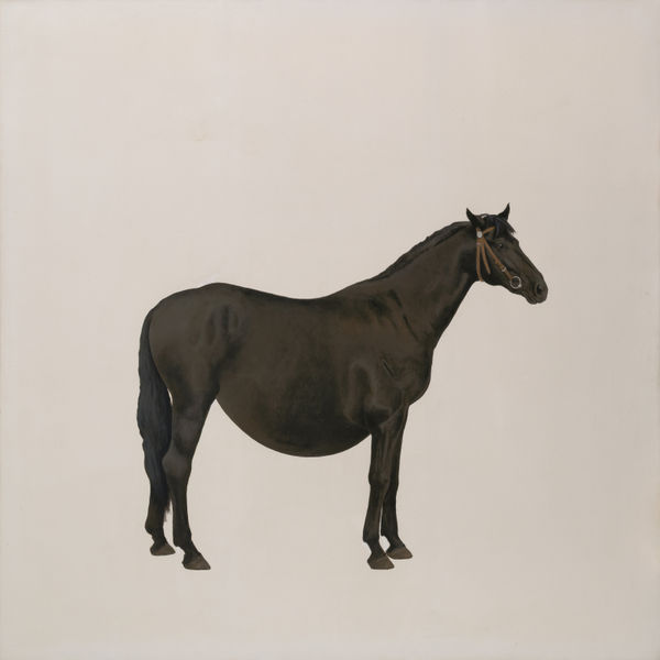 季大純 JI DaChun, 大腫馬 Alexandre Dumas, 2009