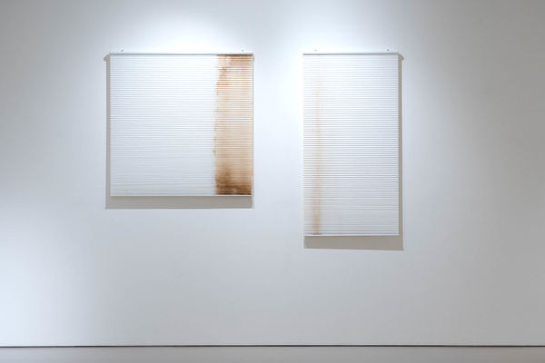 龔寶稜 Pao-Leng KUNG 杯底（早晨儀式） Cup Bottom (Morning Rituals), 2021 美式咖啡、日曬／白色風琴簾 Americano, sunlight on white cellular blind 尺寸依場地而定 Dimensions variable (現場尺寸：154 x 242 x 5 cm, set of 2)