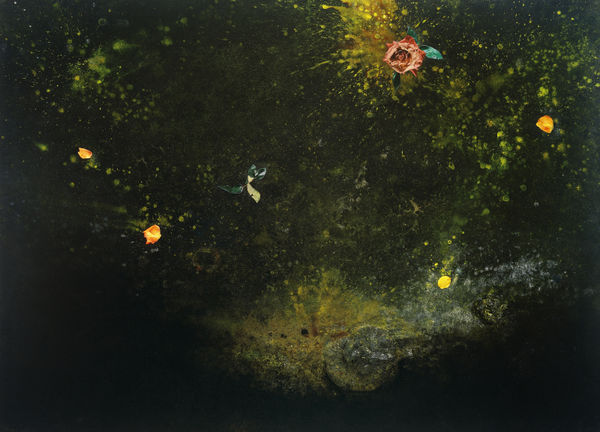 司徒強 SZETO Keung, 星雲 Nebula, 2007