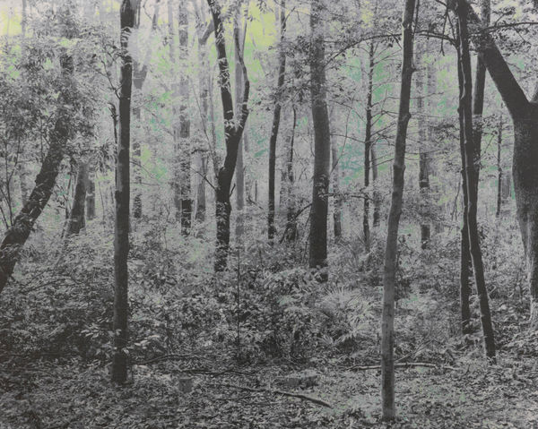 能條雅由 Masayoshi NOJO, 海市蜃樓 #70 Mirage #70, 2021