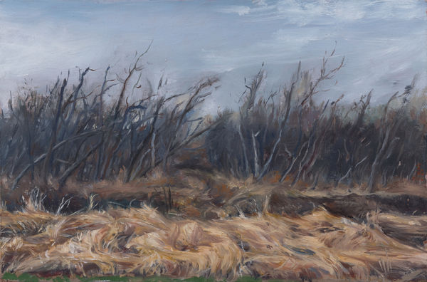陸亮 LU Liang, 雜樹 Copse, 2014