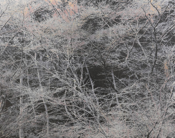 能條雅由 Masayoshi NOJO, 海市蜃樓 #71 Mirage #71, 2021