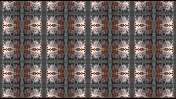 吳長蓉 WU Chang Jung, 紀錄片II - 家興 Documentary II - Family Prosperity, 2009