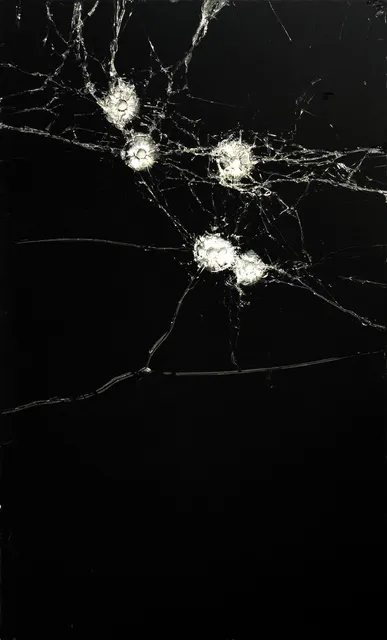 Deshawn Dumas, Black Boy Fly, 2018