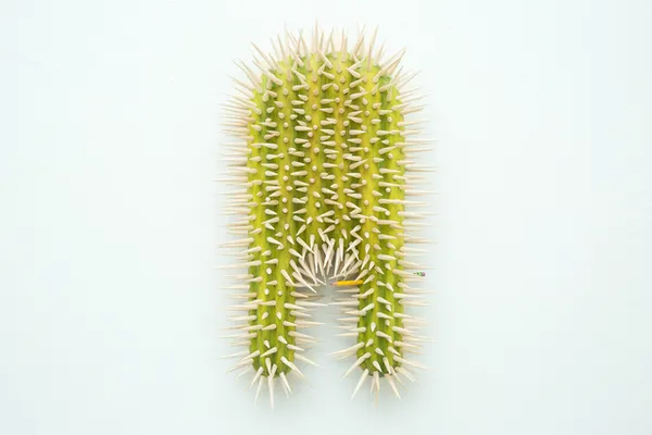 Raul De Lara, Pencil #2, 2020