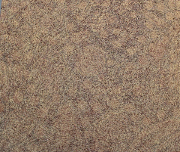 Barbara Weir, Mother's Country, 2001