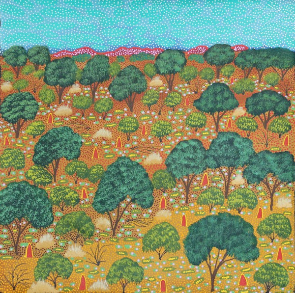 Selina Teece Pwerle Antarrengeny -My Grandfathers Country acrylic on linen 45 x 45 cm 17 3/4 x 17 3/4 in