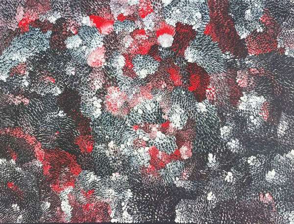 Amanda Jane Gabori, Dibirdibi Scales, 2019