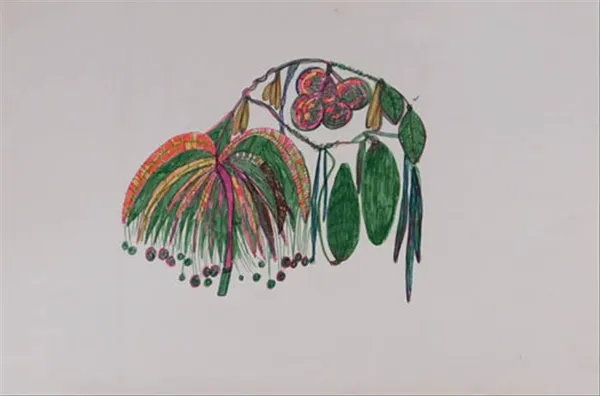 Patsy Mudgedell, Bush Tucker, 2018