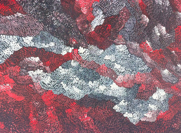 Amanda Jane Gabori, Dibirdibi Scales, 2011